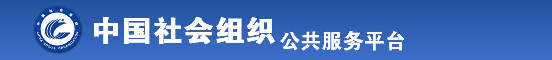 插美女b视频全国社会组织信息查询